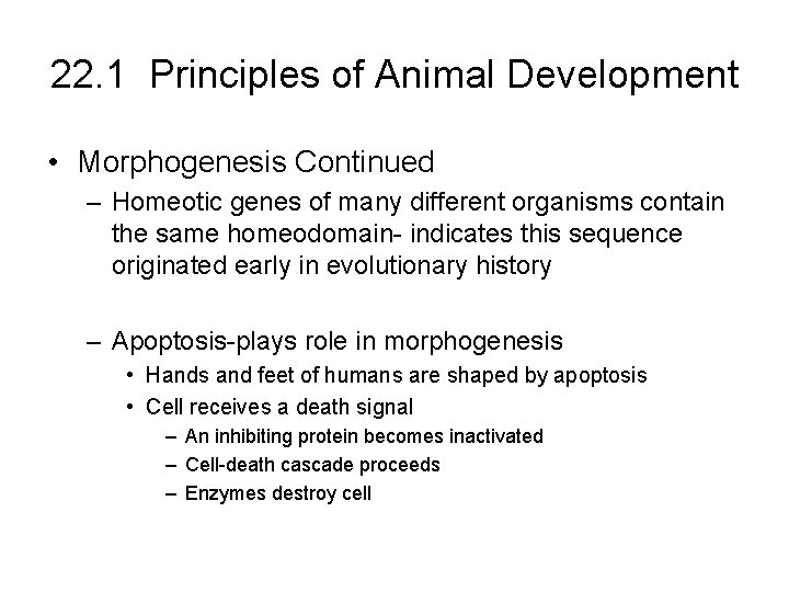 22. 1 Principles of Animal Development • Morphogenesis Continued – Homeotic genes of many