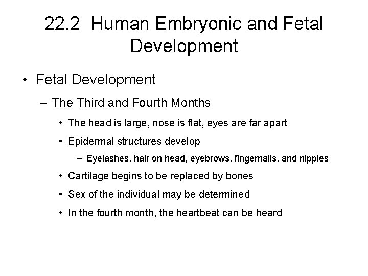 22. 2 Human Embryonic and Fetal Development • Fetal Development – The Third and