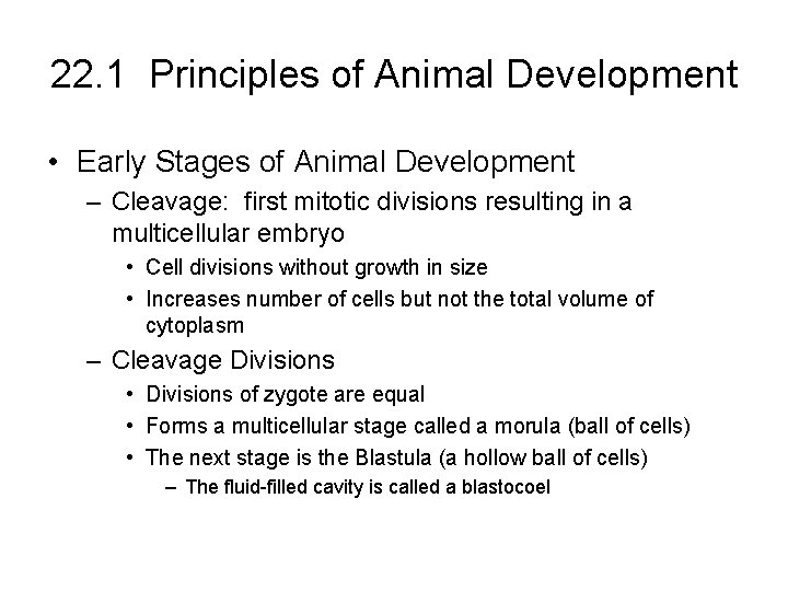 22. 1 Principles of Animal Development • Early Stages of Animal Development – Cleavage: