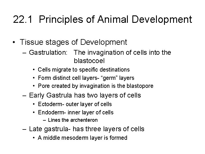 22. 1 Principles of Animal Development • Tissue stages of Development – Gastrulation: The