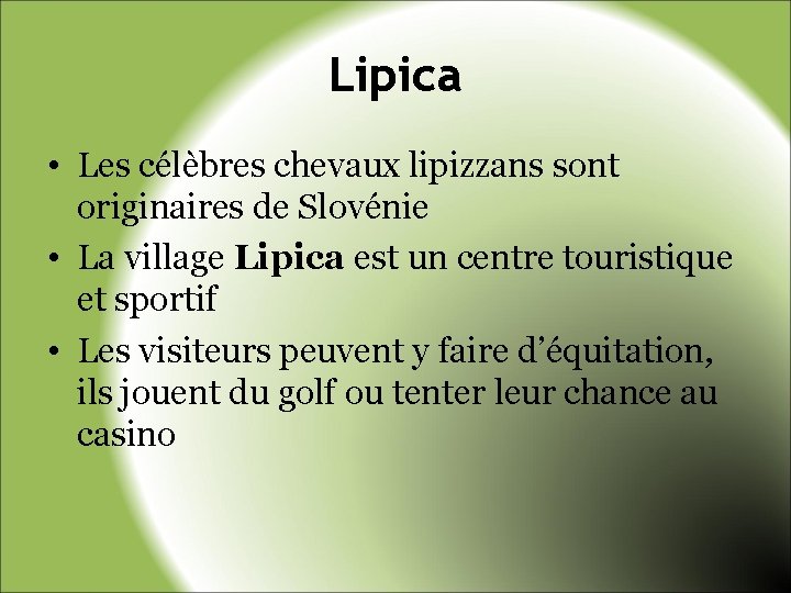 Lipica • Les célèbres chevaux lipizzans sont originaires de Slovénie • La village Lipica