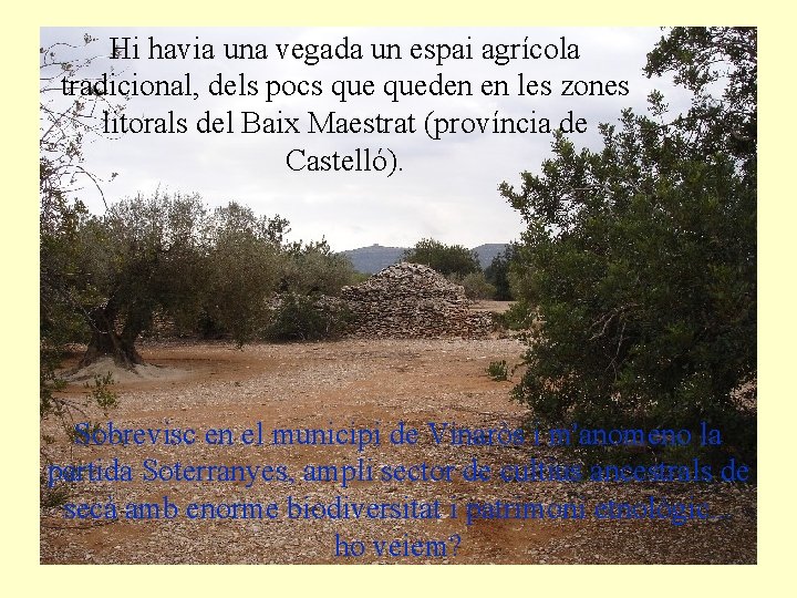 Hi havia una vegada un espai agrícola tradicional, dels pocs queden en les zones