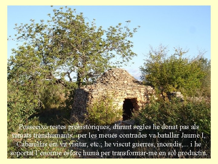 Posseeixo restes prehistòriques; durant segles he donat pas als ramats transhumants; per les meues