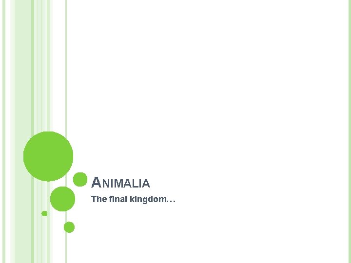 ANIMALIA The final kingdom… 