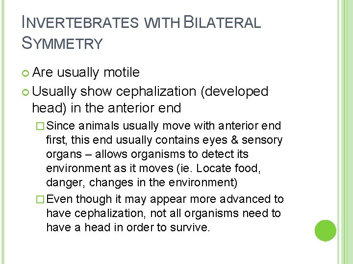 INVERTEBRATES WITH BILATERAL SYMMETRY Are usually motile Usually show cephalization (developed head) in the