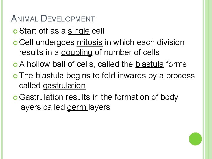 ANIMAL DEVELOPMENT Start off as a single cell Cell undergoes mitosis in which each