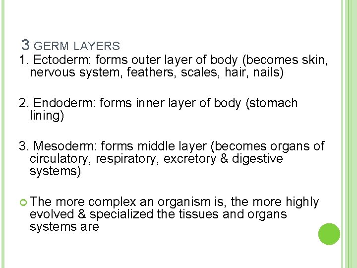 3 GERM LAYERS 1. Ectoderm: forms outer layer of body (becomes skin, nervous system,