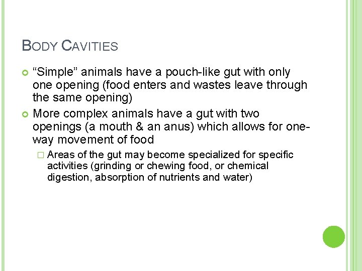 BODY CAVITIES “Simple” animals have a pouch-like gut with only one opening (food enters