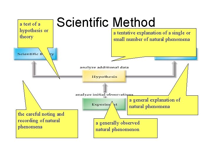a test of a hypothesis or theory Scientific Method a tentative explanation of a