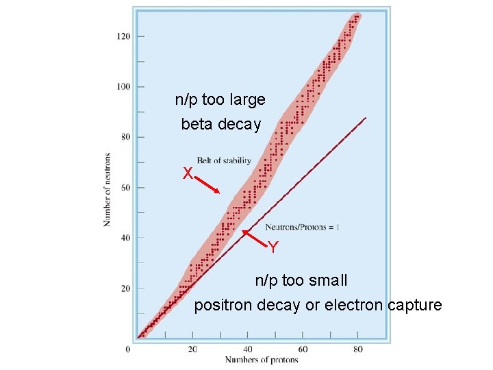 n/p too large beta decay X Y n/p too small positron decay or electron