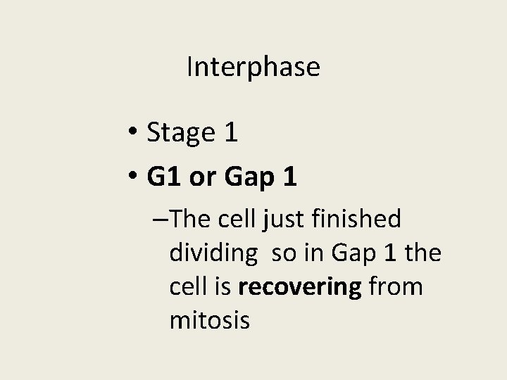 Interphase • Stage 1 • G 1 or Gap 1 –The cell just finished