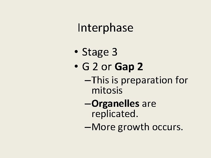 Interphase • Stage 3 • G 2 or Gap 2 – This is preparation