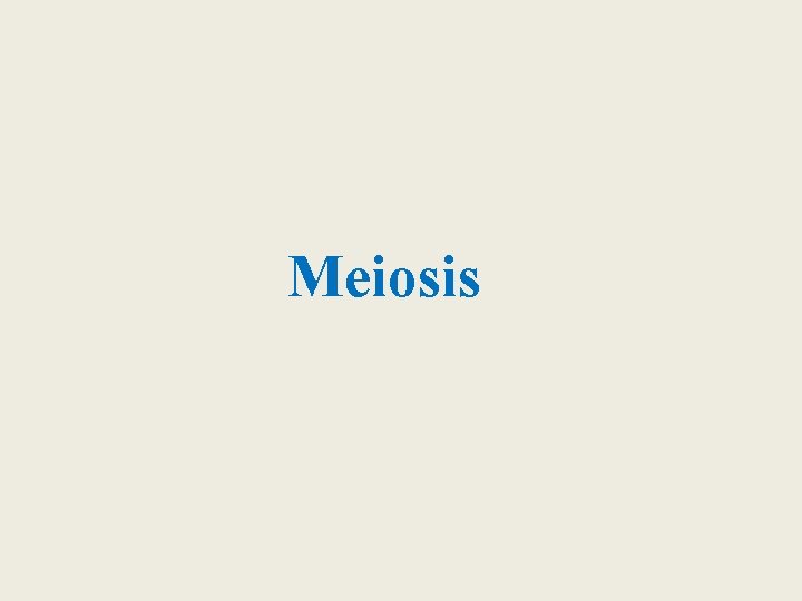 Meiosis 