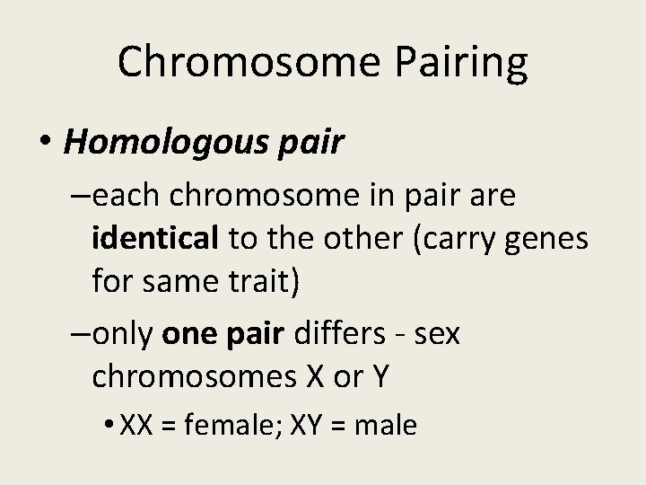 Chromosome Pairing • Homologous pair –each chromosome in pair are identical to the other