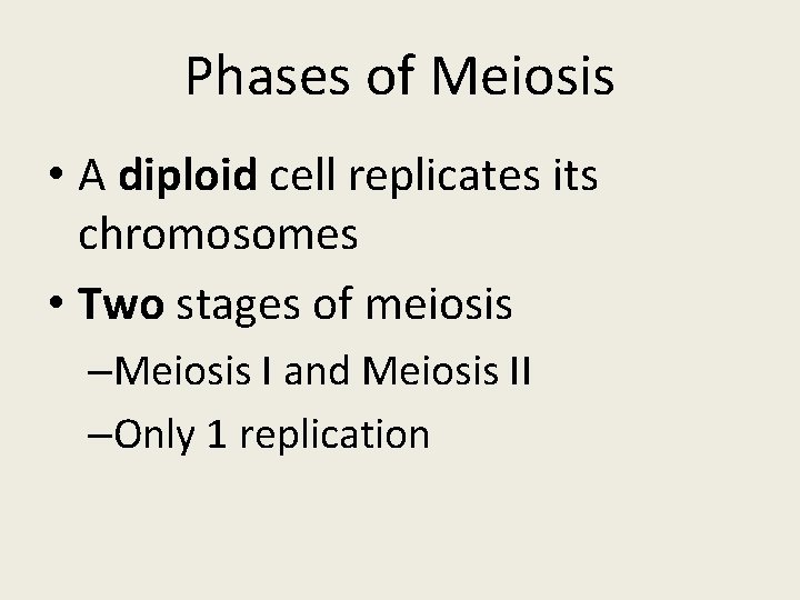 Phases of Meiosis • A diploid cell replicates its chromosomes • Two stages of