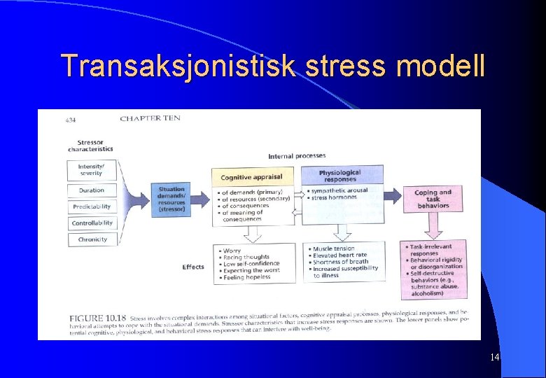 Transaksjonistisk stress modell 14 