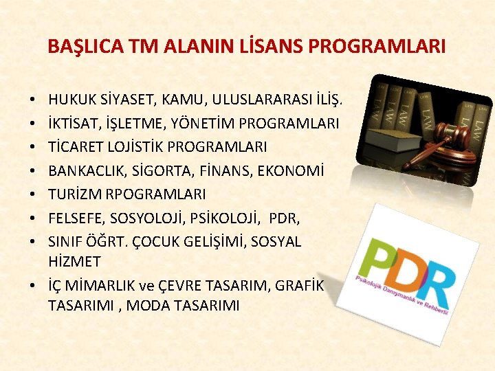 BAŞLICA TM ALANIN LİSANS PROGRAMLARI HUKUK SİYASET, KAMU, ULUSLARARASI İLİŞ. İKTİSAT, İŞLETME, YÖNETİM PROGRAMLARI