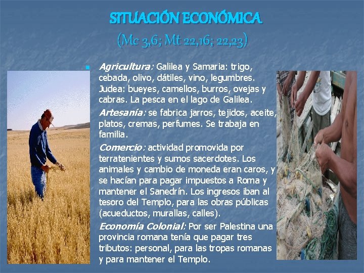 SITUACIÓN ECONÓMICA (Mc 3, 6; Mt 22, 16; 22, 23) n n Agricultura: Galilea