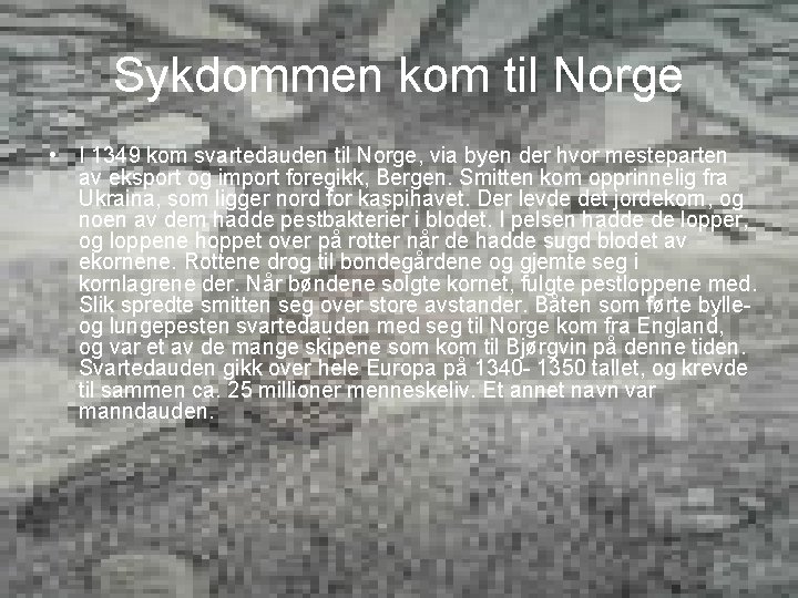 Sykdommen kom til Norge • I 1349 kom svartedauden til Norge, via byen der