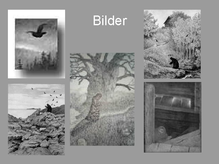 Bilder 