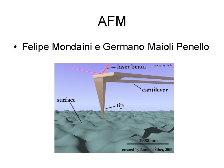 AFM • Felipe Mondaini e Germano Maioli Penello 