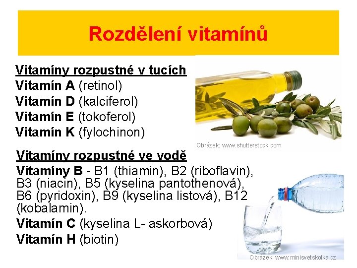 Rozdělení vitamínů Vitamíny rozpustné v tucích Vitamín A (retinol) Vitamín D (kalciferol) Vitamín E