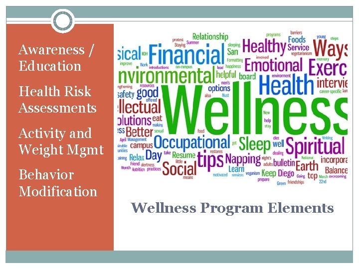 Awareness / Education Health Risk Assessments Activity and Weight Mgmt Behavior Modification Wellness Program