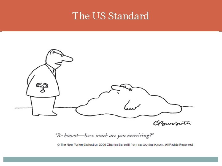 The US Standard 