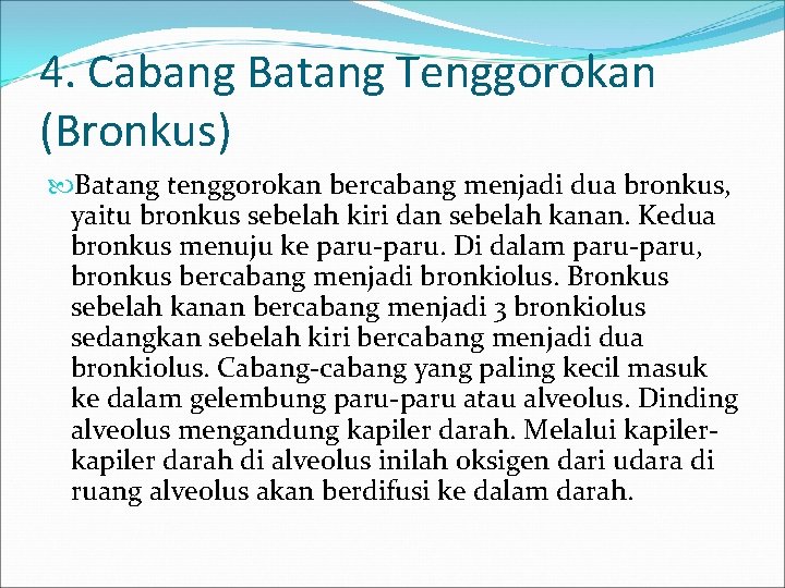 4. Cabang Batang Tenggorokan (Bronkus) Batang tenggorokan bercabang menjadi dua bronkus, yaitu bronkus sebelah