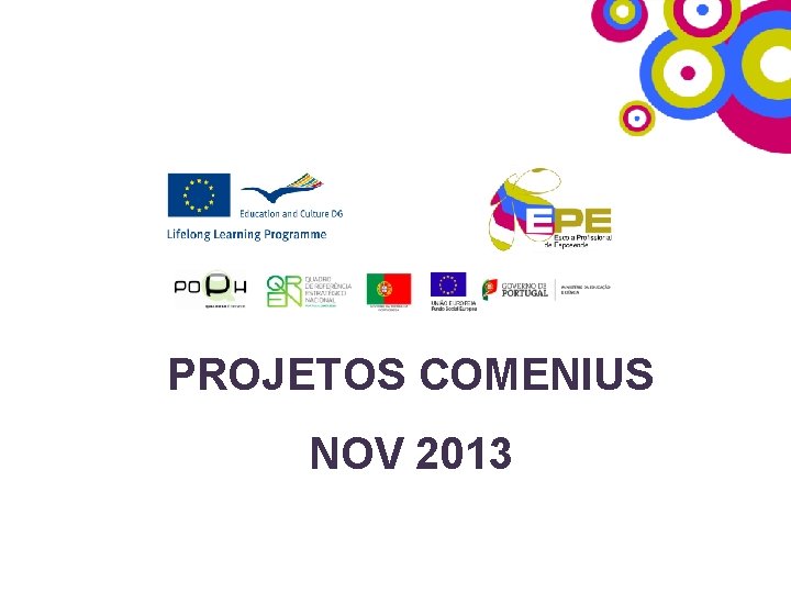 PROJETOS COMENIUS NOV 2013 