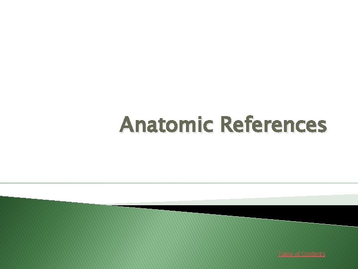 Anatomic References Table of Contents 