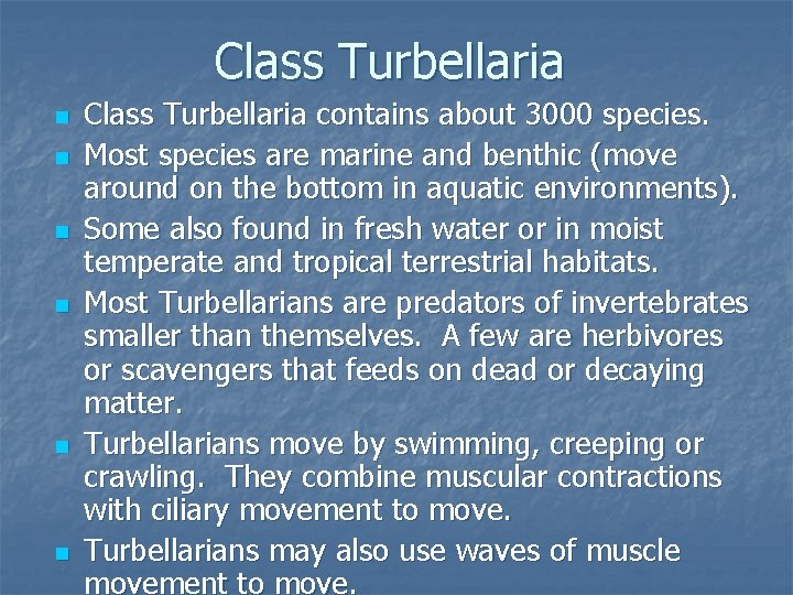 Class Turbellaria n n n Class Turbellaria contains about 3000 species. Most species are