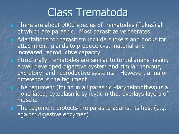 Class Trematoda n n n There about 9000 species of trematodes (flukes) all of