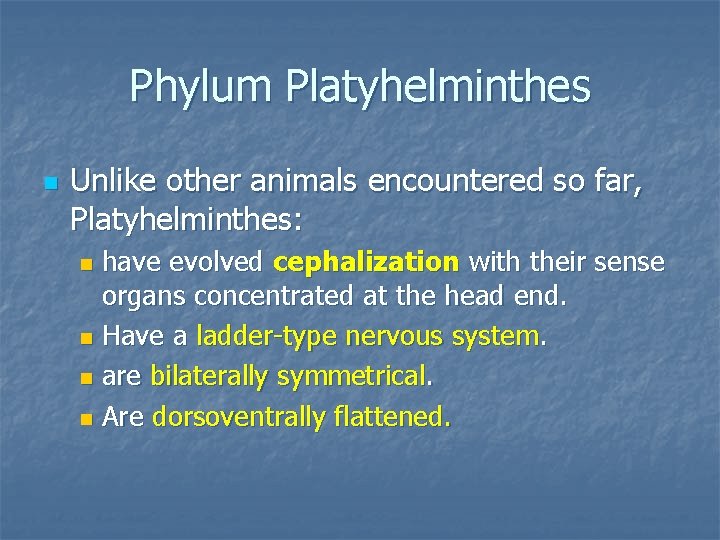 Phylum Platyhelminthes n Unlike other animals encountered so far, Platyhelminthes: have evolved cephalization with