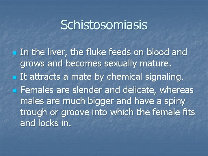 Schistosomiasis n n n In the liver, the fluke feeds on blood and grows