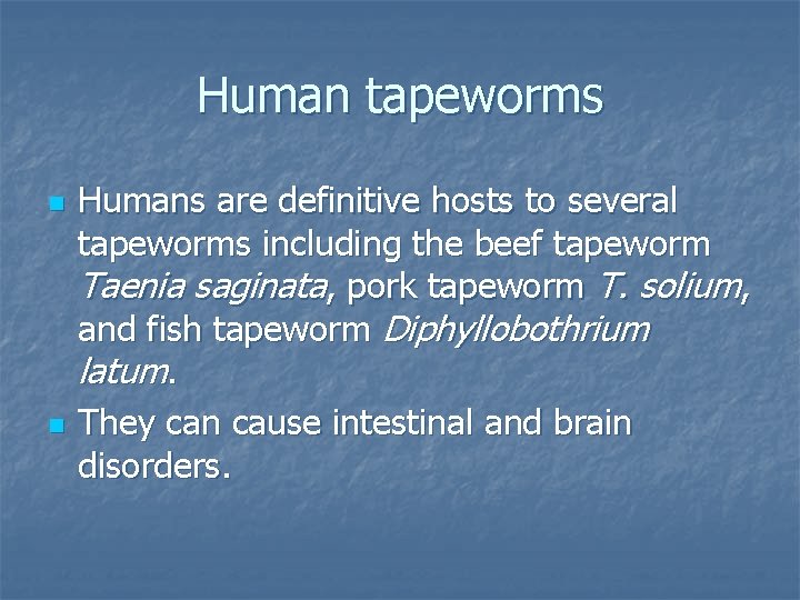 Human tapeworms n n Humans are definitive hosts to several tapeworms including the beef