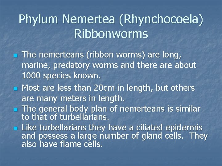 Phylum Nemertea (Rhynchocoela) Ribbonworms n n The nemerteans (ribbon worms) are long, marine, predatory