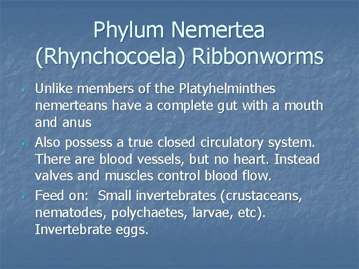 Phylum Nemertea (Rhynchocoela) Ribbonworms • • • Unlike members of the Platyhelminthes nemerteans have