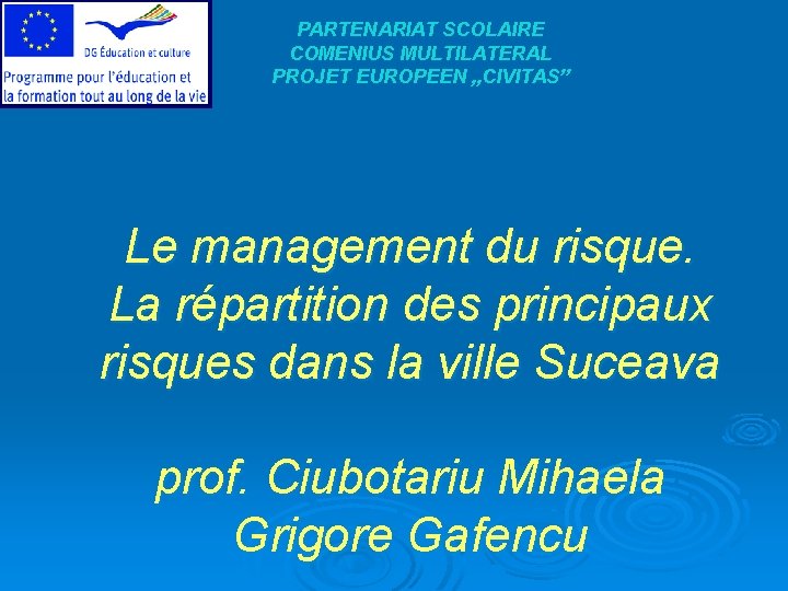 PARTENARIAT SCOLAIRE COMENIUS MULTILATERAL PROJET EUROPEEN „CIVITAS” Le management du risque. La répartition des