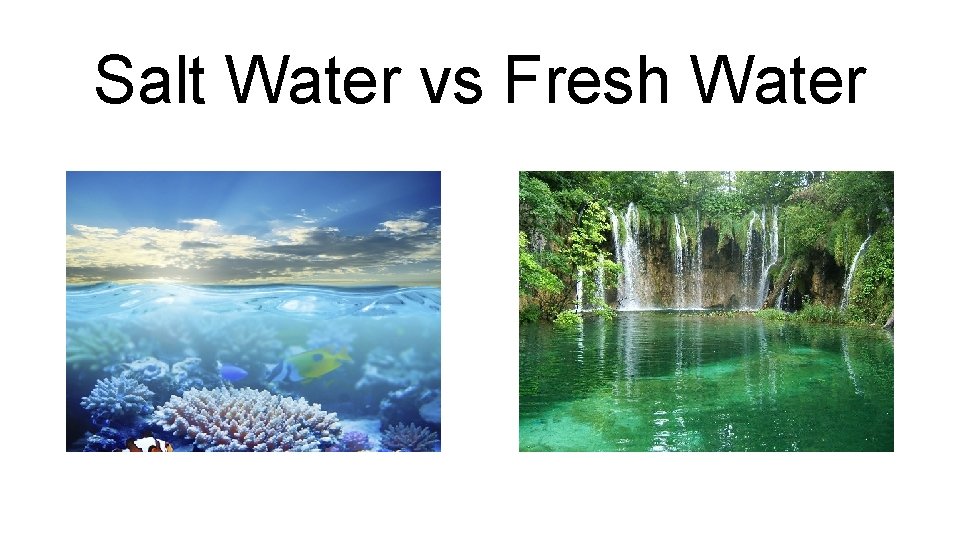 Salt Water vs Fresh Water 