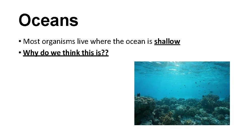 Oceans • Most organisms live where the ocean is shallow • Why do we