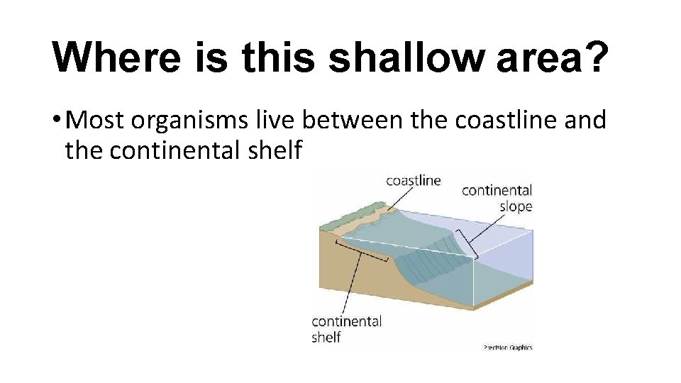 Where is this shallow area? • Most organisms live between the coastline and the