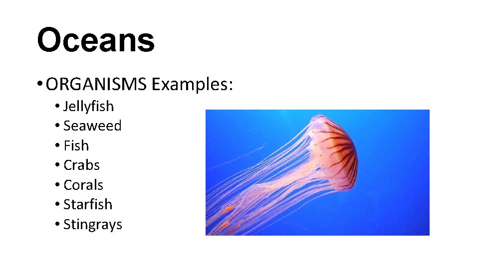 Oceans • ORGANISMS Examples: • Jellyfish • Seaweed • Fish • Crabs • Corals