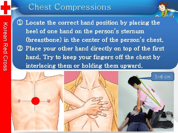 Chest Compressions Korean Red Cross ① Locate the correct hand position by placing the
