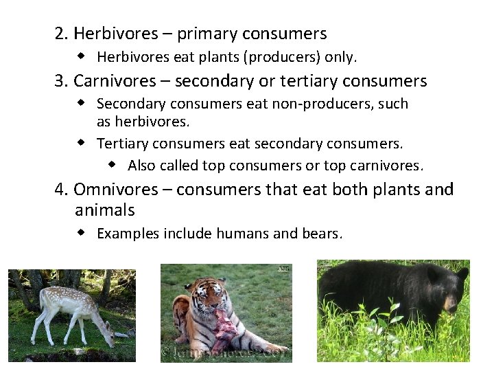 2. Herbivores – primary consumers w Herbivores eat plants (producers) only. 3. Carnivores –