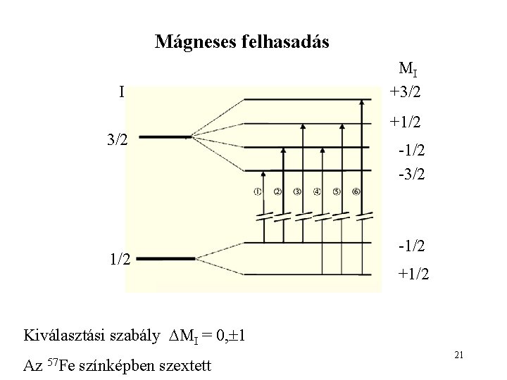 Mágneses felhasadás I 3/2 1/2 MI +3/2 +1/2 -3/2 -1/2 +1/2 Kiválasztási szabály MI