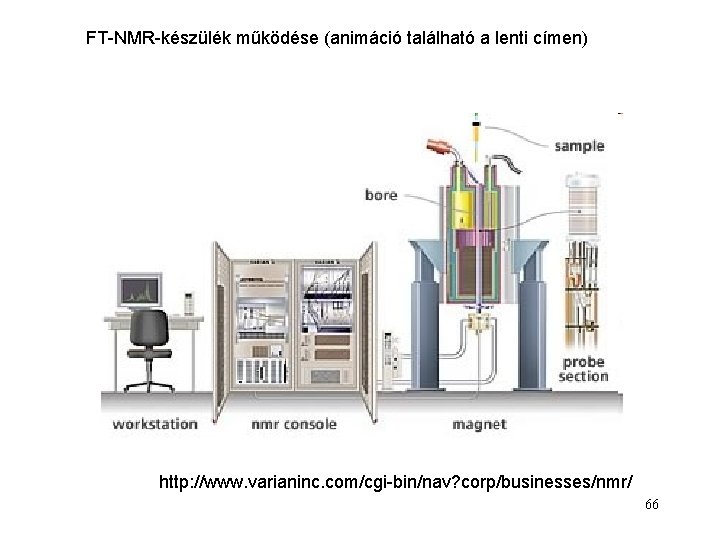 FT-NMR-készülék működése (animáció található a lenti címen) http: //www. varianinc. com/cgi-bin/nav? corp/businesses/nmr/ 66 