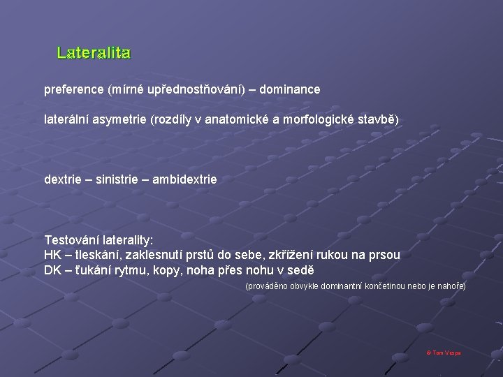 Lateralita preference (mírné upřednostňování) – dominance laterální asymetrie (rozdíly v anatomické a morfologické stavbě)