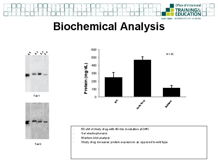 Biochemical Analysis N = 23 L 3 4 2 L L 500 Protein (mg/d.