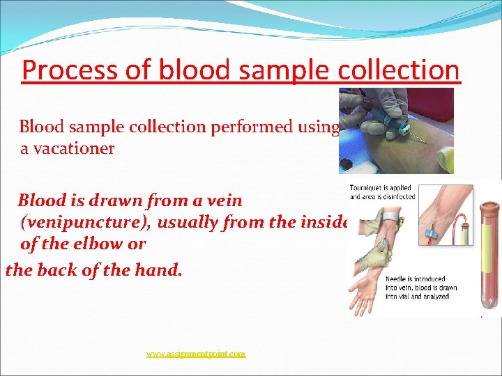 Lecture on Blood Pathology www assignmentpoint com About